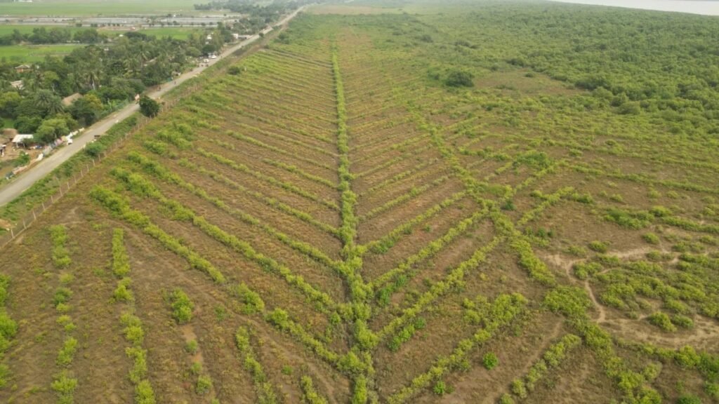 WhatsApp Image 2026-04-18 at 4.40.26 PM