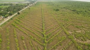 WhatsApp Image 2026-04-18 at 4.40.26 PM