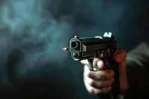 gun