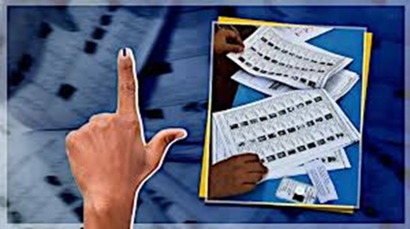 voter