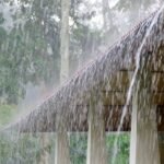rain